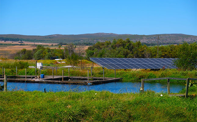 Small is beautiful for budding Overberg trout business