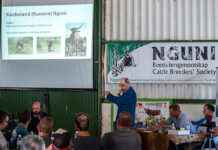 Western Cape Nguni breeders, experts gather to share knowledge