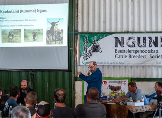 Western Cape Nguni breeders, experts gather to share knowledge
