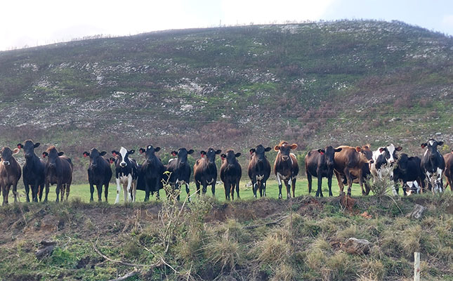 Three reasons for hope in the wake of FMD crisis