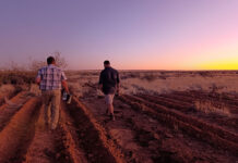 Healing the soil to survive the droughts