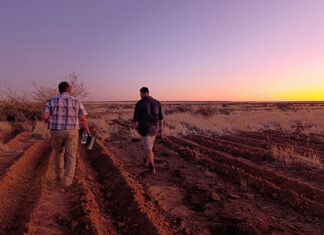 Healing the soil to survive the droughts