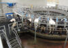 Dairy processors, producers unite against ‘disproportionate’ FMD rules