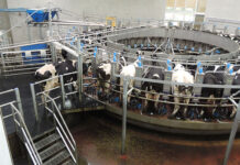 Dairy processors, producers unite against ‘disproportionate’ FMD rules