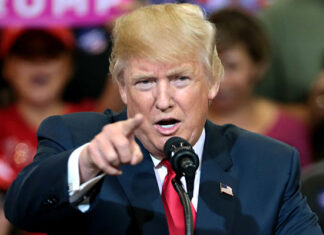 Relief for SA agri exporters as US temporarily cuts import tariff to 10%