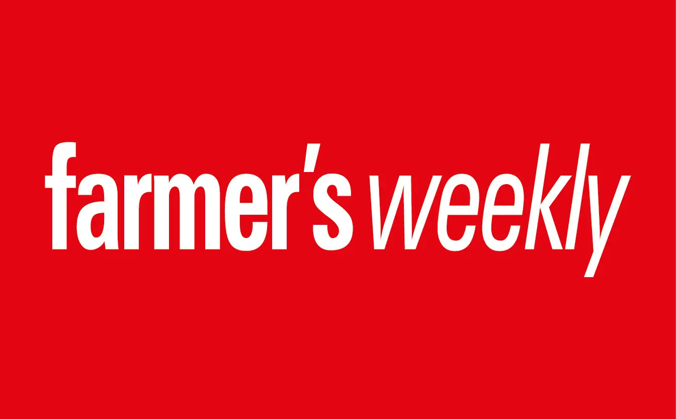 Beware: cabbage aphids also carry viruses