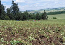 Agri employment reaches two-year high in late 2025