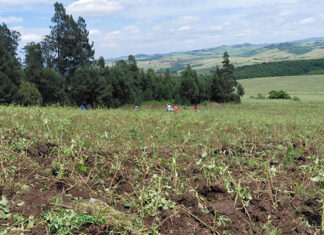 Agri employment reaches two-year high in late 2025