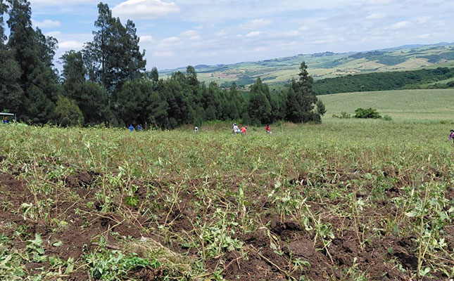 Agri employment reaches two-year high in late 2025