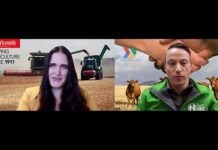 How digital livestock auctions are helping farmers trade safely during the FMD outbreak