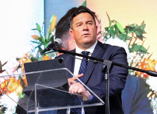 Steenhuisen: ‘FMD is not under control but we have a plan to break its back’