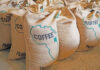 How women are transforming coffee production in Kenya
