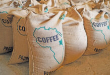 How women are transforming coffee production in Kenya