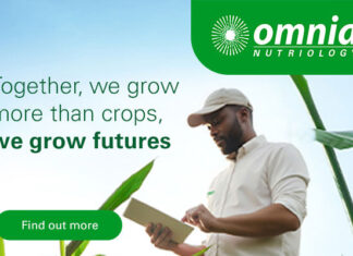 Partner with Purpose. Grow with Confidence