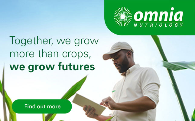 Partner with Purpose. Grow with Confidence