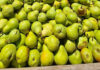 Canning industry faces mounting pressure from climate, markets, tariffs