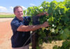 From a reluctant farm worker to a raisin trailblazer
