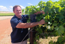 From a reluctant farm worker to a raisin trailblazer