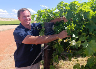 From a reluctant farm worker to a raisin trailblazer