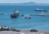 Deciduous fruit industry lashes out over ongoing port failures