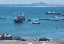 Deciduous fruit industry lashes out over ongoing port failures