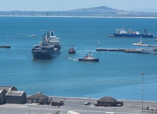 Deciduous fruit industry lashes out over ongoing port failures