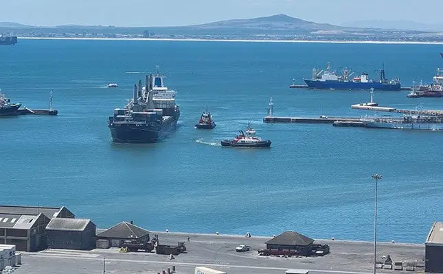 Deciduous fruit industry lashes out over ongoing port failures