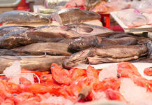 Demand from EU highlights gap in Eastern Cape seafood industry