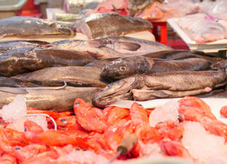 Demand from EU highlights gap in Eastern Cape seafood industry