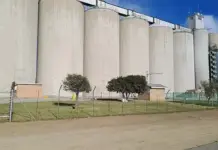 An introduction to forward contracts and commodity futures for South African farmers