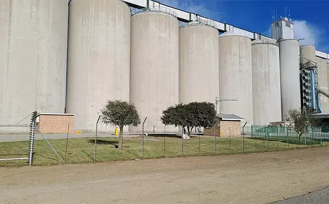 An introduction to forward contracts and commodity futures for South African farmers