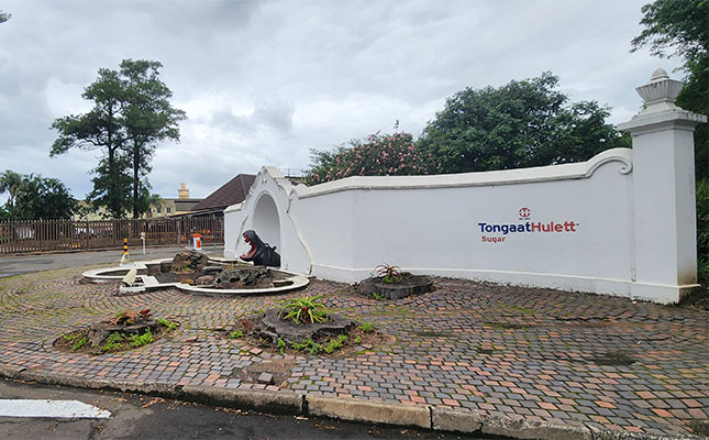 Sugar industry crisis prompts call for state intervention