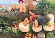 Eastern Cape agricultural show in Gqeberha celebrates smallholder success