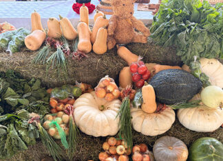 Eastern Cape agricultural show in Gqeberha celebrates smallholder success