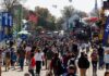 FMD in SA: no cloven-hoofed animals at Nampo 2026
