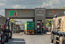 FMD crisis: Zambia closes borders to South African livestock