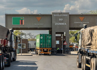 FMD crisis: Zambia closes borders to South African livestock