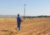 ‘Wage hike puts more pressure on agriculture’ – farmers’ organisations