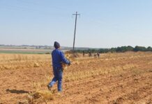 ‘Wage hike puts more pressure on agriculture’ – farmers’ organisations