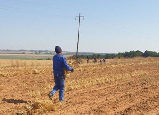 ‘Wage hike puts more pressure on agriculture’ – farmers’ organisations