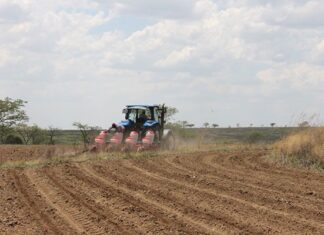 Drop in fuel prices brings welcome relief to farmers