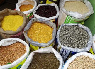 World Pulses Day highlights the untapped potential of pulses