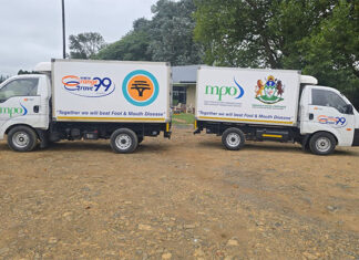 Refrigerated trucks deliver food-and-mouth disease vaccines to KZN dairy farms