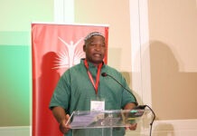 Agribusiness innovation for African food security