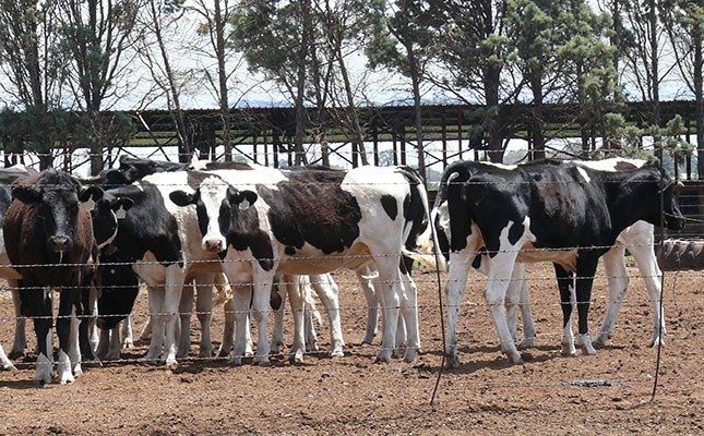 Confusion, cost and coordination failures cloud FMD vaccine rollout