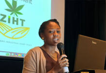 Southern African industrial hemp industry faces critical challenges