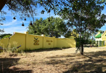 Revival plan for Zebediela Citrus Estate takes shape