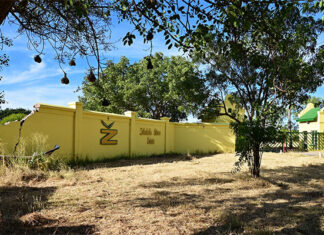 Revival plan for Zebediela Citrus Estate takes shape