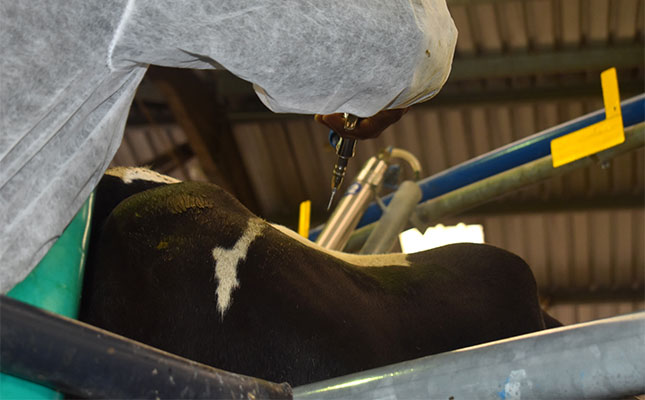 Court orders Agriculture Minister to publish FMD vaccination scheme – and foot the bill for wasted costs