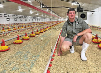 Young farmer proves broiler margins are made in the management